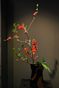 Kyoto Ikebana Exhibition by Mai Wakisaka Photography, via Flickr