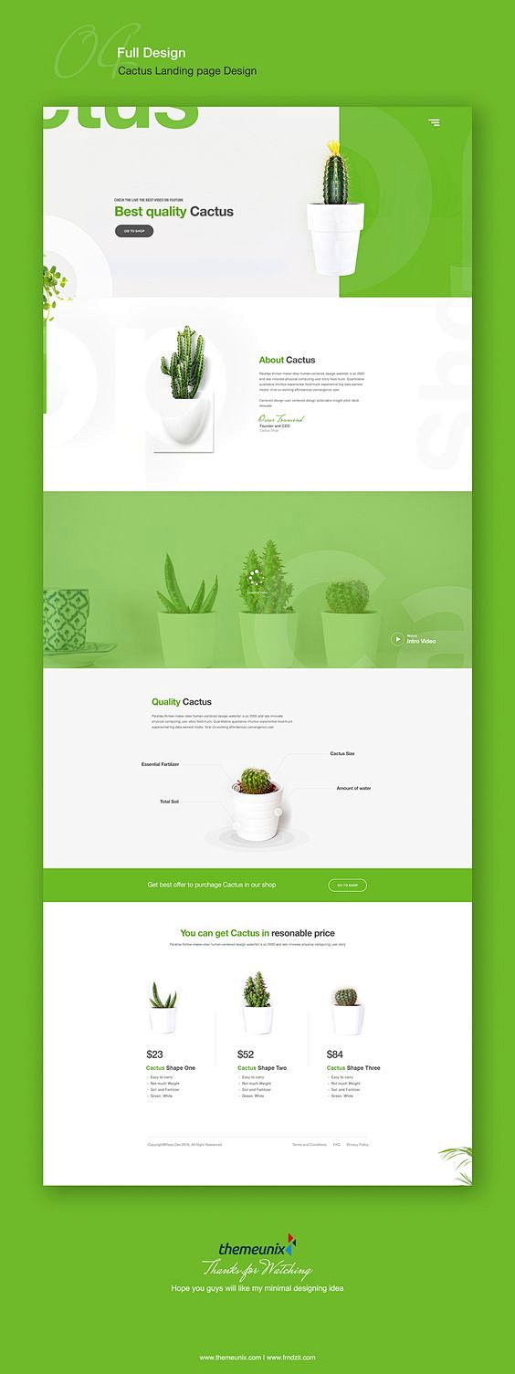 Cactus Landing Page ...