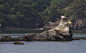 sea-coast-water-nature-rock-wilderness-shore-lake-river-cliff-high-bay-island-terrain-body-of-water-5d-hires-loch-markii-hi-res-resolution-islet-sagakei-landform-377768.jpg (3917×2407)