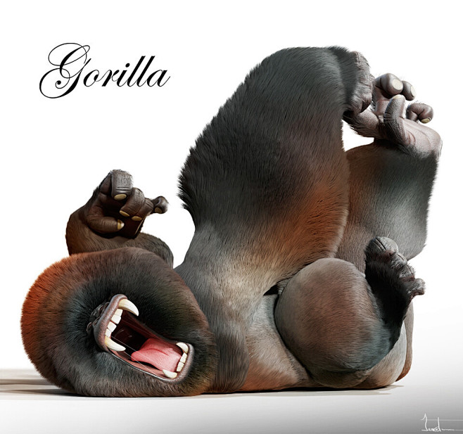 Lying gorilla