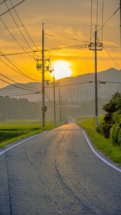 卜算子o采集到景-路