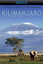 乞力马扎罗 通往非洲屋脊 Kilimanjaro: HutDoor