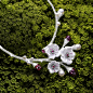Limelight Garden Party Collection of PIAGET_Fine Accessories
