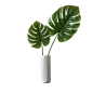 北欧植物-盆栽绿色花瓶植物免抠素材透明