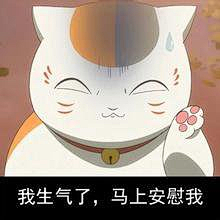 云起—祢奈儿采集到猫咪