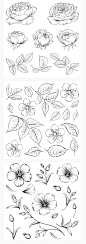 黑白线稿镂空线描各种植物花朵树叶叶子花卉搭配元素AI矢量素材-淘宝网