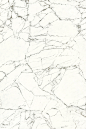 简一大理石瓷砖、瓷砖贴图、无缝、大理石贴图、张猛采集 (308)