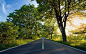 roads sunlight trees wallpaper (#898368) / Wallbase.cc