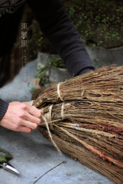 H小幸运采集到花园