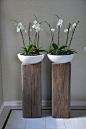 mooie schalen met orchidee op stoere zuilen #iloveit! #Pintratuin: 