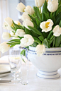 white tulips: 