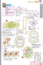 靓丽发饰DIY-15.jpg