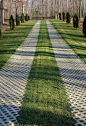 green driveway ideas