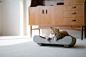 K&H Pet Products Kitty Tippy Scratch n' Track 猫爬架纸板互动猫玩具 52.07 厘米 x 24.13 厘米-亚马逊日本-亚马逊中国