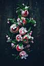 Sourcream rhubarb cupcakes with ginger cream cheese frosting and poached rhubarb