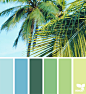 Design Seeds : Design Seeds color palettes ... posted daily for all who love color.