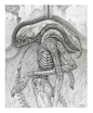 H.R.GIGER homage, Amilcar Aldana Fong : Pencil on paper.