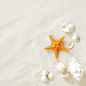 沙滩贝壳海星