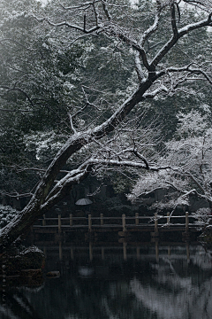 边星采集到风景