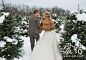 土豪金与森林绿的完美组合  雪地冬季婚礼