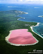 澳大利亚的粉色湖泊，赫利尔湖