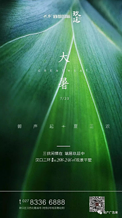 相顾两无言采集到地产——大暑