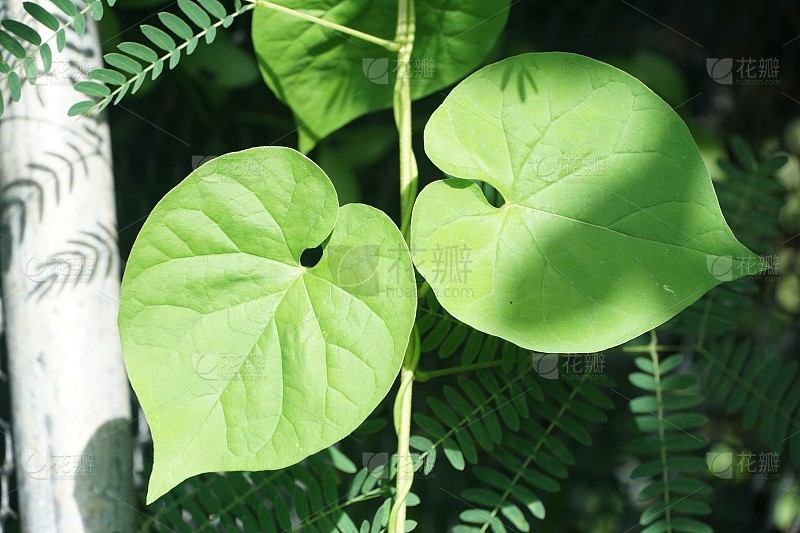 01391fb5f44c2eb5e0369dd16a19d8748a76b69e1ac5f-00LsSv