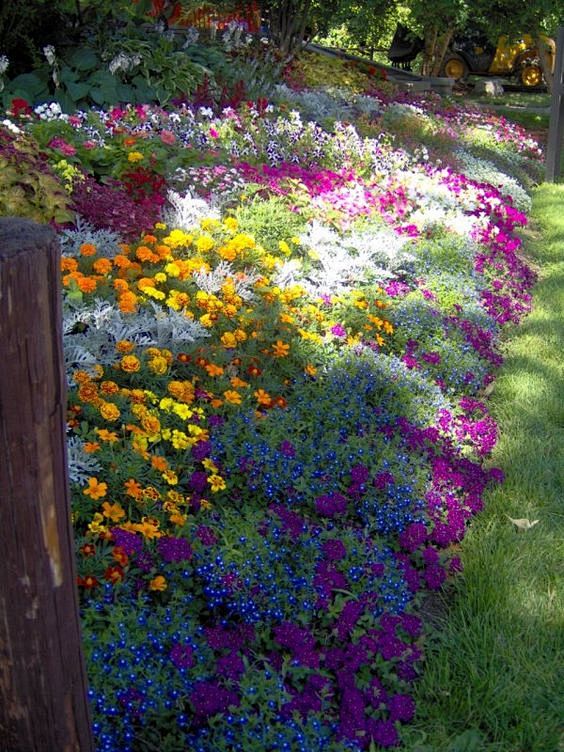 shaded garden bed: 