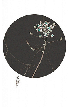 花叶生菜采集到节气