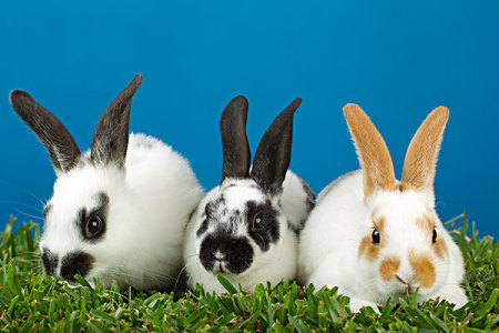 013ed5404ce6bf629de29a87ca9d57b3045f42d9a0e8-Mum5Sb