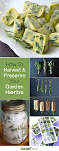 A super fun and effective way of how to dry herbs easily, and fashionably too! It's also a great way to save garden seeds, and attract fairies! - A Piece Of Rainbow