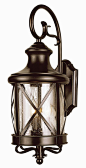 TransGlobe Lighting Outdoor Wall Lantern | Wayfair: