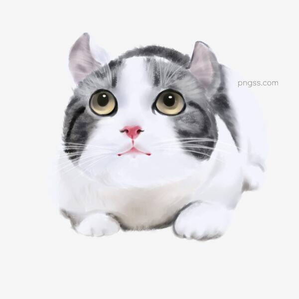 0166e5e239239e711e1360d326145549eeb230094efd-MpLIXU