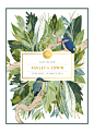 Wedding Stationery | Ashley & Edwin : A South African Bushveld Inspired Save The Date featuring the South African Kingfisher Birds.