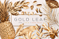 Gold Painted Leaves Collection : Gold Painted Leaves are a set of Hi Res 240 DPI PNG files of various leaves and tropical plants for use in mocking up your design projects.  Download today at http://tiny.cc/fhdeny