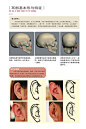 素描耳朵 (3)