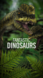 Fantastic Dinosaurs手机教育应用，来源自黄蜂网http://woofeng.cn/