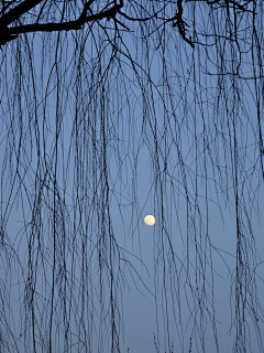 深谷小溪采集到月色