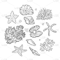 贝壳,珊瑚,珍珠牡蛎,星星,海星,动物,品牌名称,海底,复古