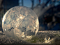 图片：Frozen bubbles in Calgary produce magical video, photographs ... : 在 Google 上搜索到的图片（来源：cbc.ca）