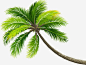 椰子树绿色植物png