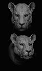 Early zbrush renders