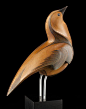 Swainson's Thrush by Rex Homan, carved in kauri wood, NZ.  (View 1)