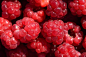 山莓, 关闭, 红色, 水果, 甜, 浆果, 弗里施, 水果啤酒, 性质, 成熟