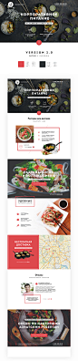  FOOD  RESTAURANT version2 -ONEPAGE theme : разработка продающего дизайна для сети ресторанов Silver Panda