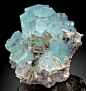 mineralists:<br/>Gemmy blue Aquamarine crystals with accenting Muscovite blades on AlbiteChumar Bakhoor, Northern Pakistan<br/>