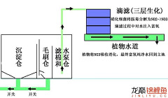 天O堂O鸟采集到植物解析