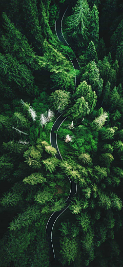 南风北雨采集到风景