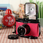 Diana F  with Flash Package 粉红先生Mr.Pink Edition 狂野系列