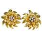 18K Diamond & Pearl flower form Earclips By Tiffany_黑白灰金素材 _T2020427  _质感元素_T2020427 